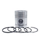 Piston + Set segmenti (STD - Diametru: 101,65 mm): LISTER / HA-2 / HA-3 / HA-4 / HA-6 / HB-1 / HB-2 / HB-3 / HB-4 / HW-1 / HW-2 / HW-4 / ⟦ HW-4 / ⟦ 572-10191/572-10192/351-19251/351-19252
