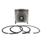 Piston + Set segmenti (STD - Diametru 106,00 mm): YANMAR / 4TNE106D / Nr. referinta: 123900-22080-S