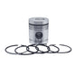 Piston + Set segmenti (STD - Diametru: 107,95 mm - CU ALFIN): LISTER / HR-4 / HR-6 / HRA-4 / HRA-6 / HRW-4 / HRW-6 / Nr. referinta: 572-S50122