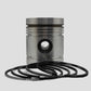 Piston + Set segmenti (STD - Diametru: 107,95 mm): LISTER / HR / HL / HLT / Nr. referinta: 572-55340-S