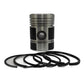 Piston + Set segmenti (STD - Diametru: 110,00 mm): DEUTZ / F1L 514 / F2L 514 / F3L 514 / F4L 514 / F6L 514 / F6L 614 / F8L 614 / F8L 614 / F8L 614