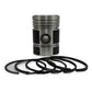 Piston + Set segmenti (STD - Diametru: 110,00 mm): DEUTZ / F1L 514 / F2L 514 / F3L 514 / F4L 514 / F6L 514 / F6L 614 / F8L 614 / F8L 614 / F8L 614