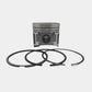 Piston + Set segmenti (STD - Diametru 76,00 mm): YANMAR / 3TNV76 / Nr. referinta: 119717-22080-S