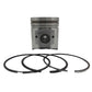Piston + Set segmenti (STD - Diametru 92,00 mm): YANMAR / 4TNE92 / Nr. referinta: 129904-22120-S