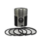 Piston + Set segmenti (STD - Diametru: 95.00 mm): DEUTZ / F1L 812 / F2L 812 / F3L 812 / F4L 812 / F6L 812