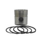 Piston + Set segmenti (STD - Diametru: 95,00 mm): DEUTZ / F1L 210