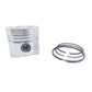 Set piston si segmenti (STD - Diametru: 95.00 mm): LOMBARDINI / 9LD 625-2 / 11LD 625-3 / 11LD 626-3