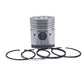 Piston + Set segmenti (STD - Diametru: 95,00 mm): MWM / D 208-2 / D 208-3 / D 208-4 / D 208-6 / D 308-2 / D 308-3 / D 308-6 / D 308-4