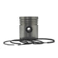 Piston + Set segmenti (STD - Diametru: 95.00 mm): MWM / KD 1105-Z / KD 1105-D / KD 1105-V / KD 1105-S / 210.5-Z / 210.5-Z / 210.5-V / 210.5-V / 210.5-V / TKD 1105-V / TKD 1105-S
