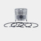 Piston + Set segmenti (STD - Diametru: 95.00 mm): RUGGERINI / RF 140 / RF 148 / Nr. referinta: A 2107-S