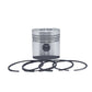 Piston + Set segmenti (STD - Diametru: 95.00 mm): RUGGERINI / RD 270 / RD 278 / RD 952 / Nr. referinta: 2492-S