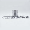 Piston + Set segmenti (STD - Diametru: 95,25 mm): LISTER / ST-1 / ST-2 / ST-3 / TS-1 / TS-2 / TS-3 / Nr. referinta: 570-12840 / 201-80157