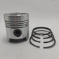 Piston + Set segmenti (STD - Diametru: 96,00 mm): SLANZI / DVA 1500 / DVA 2200 / DVA 2900 / Nr. referinta: 6500 615-S