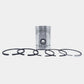 Piston + Set segmenti (STD - Diametru: 98,00 mm): MWM / AKD-12 / AKD-112