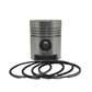 Piston + Set segmenti (STD - Diametru: 98.00 mm): SAME / LAMBORGHINI / 982 P / 983 P / 984 P / 986 P / Nr. referinta: 0.053.0060.6-S
