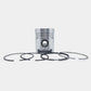 Piston + Set segmenti (STD - Diametru:100.00 mm): SAME / LAMBORGHINI / 1003 P / 1004 P / 1006 P / Nr. referinta: 0.072.0060.6 / 10-S