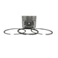 Piston + Set segmenti (STD): HATZ / 1B20 / Nr. referinta: 013 481 30-S