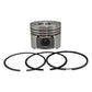 Piston + Set segmenti (STD): HATZ / 1D41 / Nr. referinta: 013 124 20-S