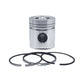 Piston + Set segmenti (STD): HATZ / E786 / Nr. referinta: 009 971 01-S
