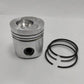 Set piston si segmenti (1,00 mm-OVERSIZE): HATZ/Z790