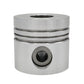 Piston (STD - Diametru: 100,00 mm): LISTER / TX-1 / TX-2 / TX-3 / Nr. referinta: 570-35810