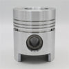 Piston (STD - Diametru:100.00 mm): SAME / LAMBORGHINI / 1003 P / 1004 P / 1006 P / Nr. referinta: 0.072.0060.6 / 10