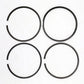 Set segmenti (1.00 - Diametru:101.00 mm): SAME / LAMBORGHINI / 1003 P / 1004 P / 1006 P / Nr. referinta: 0.072.0054.6
