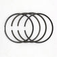 Set segmenti (1.00 - Diametru:101.00 mm): SAME / LAMBORGHINI / 1003 P / 1004 P / 1006 P / Nr. referinta: 0.072.0054.6