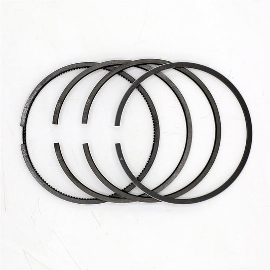 Set segmenti (1.00 - Diametru:101.00 mm): SAME / LAMBORGHINI / 1003 P / 1004 P / 1006 P / Nr. referinta: 0.072.0054.6