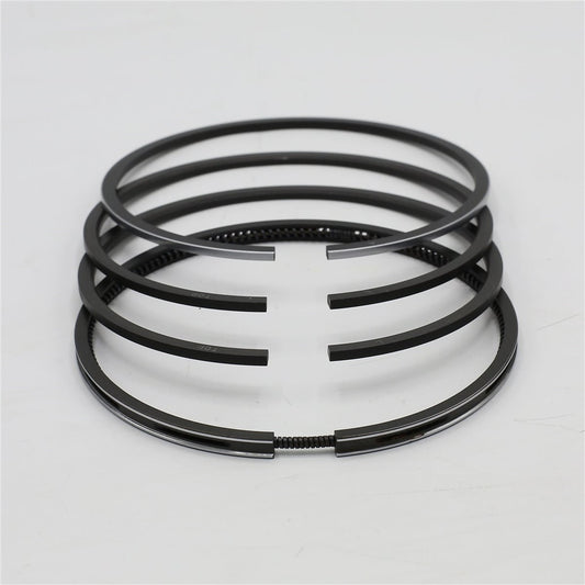 Set segmenti (1.00 - Diametru:101.00 mm): SAME / LAMBORGHINI / 1003 P / 1004 P / 1006 P / Nr. referinta: 0.072.0054.6