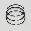 Set segmenti (0,50 - Diametru: 100,50 mm): LOMBARDINI / 5LD 824-3 / 7LD 740-F / Nr. referinta: 8211 213