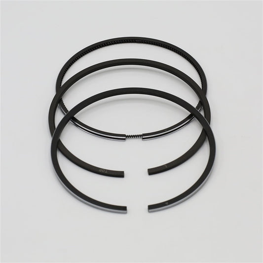 Set segmenti (0,50 - Diametru: 100,50 mm): LOMBARDINI / 5LD 824-3 / 7LD 740-F / Nr. referinta: 8211 213
