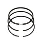 Set segmenti piston (0,50 - OVERSIZE - Diametru: 100,50 mm): LOMBARDINI / 7LD 740 / 8LD 740-2 / Nr. referinta: 8211 004