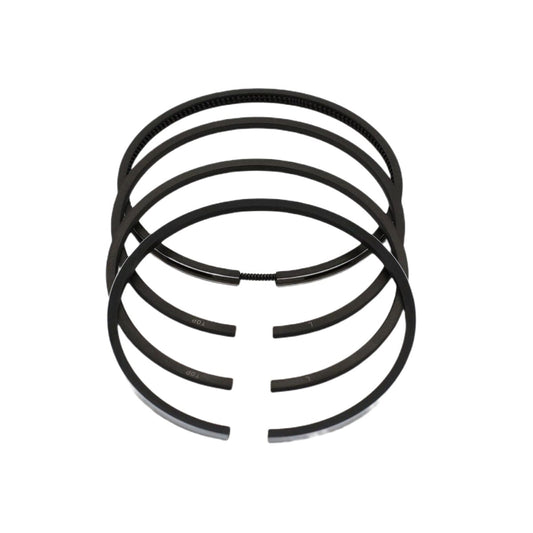 Set segmenti (0.50 - Diametru: 100.50 mm): LOMBARDINI / LDA 100 / 4LD 705 / Nr. referinta: 8210 050