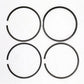 Set segmenti (0,50 - Diametru: 100,50 mm): SAME / LAMBORGHINI / FL 1002 / FL 1003 / Nr. referinta: 0.311.0053.4