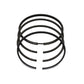 Set segmenti (0,50 - Diametru: 102,50 mm): LOMBARDINI / 4LD 820 / Nr. referinta: 8210 059