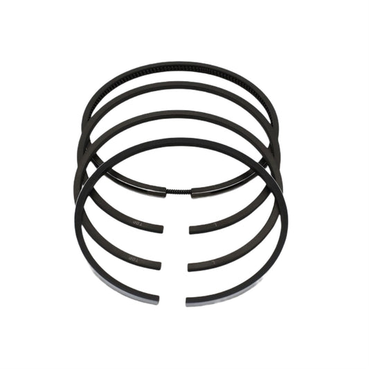 Set segmenti (0,50 - Diametru: 102,50 mm): LOMBARDINI / 4LD 820 / Nr. referinta: 8210 059