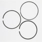 Set segmenti piston (0,50 - OVERSIZE - Diametru: 106,50 mm) : YANMAR / 4D106 / 4TNV106 / 4TNE106