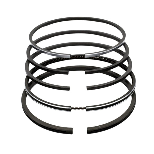 Set segmenti (0,50 - Diametru: 108,45 mm): LISTER / HR-4 / HRA-4 / HRW-4 / HRS-4 / HR-6 / HRA-6 / HRW-6 / HRS-6
