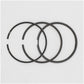 Set segmenti (0,50 - Diametru: 68,50 mm): YANMAR / 2TNE68 / 3TNE68