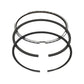 Set segmenti (0,50 - Diametru: 76,50 mm): YANMAR / 3TNV76 / 3YM30