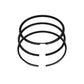 Set segmenti (0,50 - Diametru: 78,50 mm): LOMBARDINI / 15LD 315