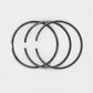 Set segmenti (0,50 - Diametru: 80,50 mm): RUGGERINI / RD 80 / RF 80 / RF 81 / RF 88