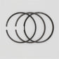 Set segmenti piston (0,50 - OVERSIZE - Diametru: 95,50 mm): LOMBARDINI / 7LD 665 / 8LD 665-2 / 9LD 625-2 /11LD 625-3 / Nr. referinta: 8211 210