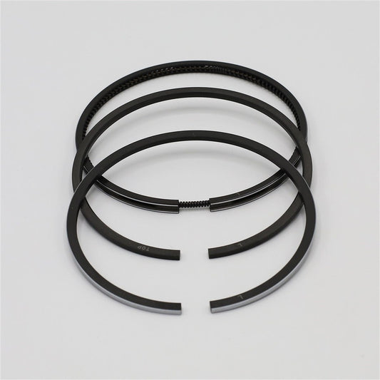 Set segmenti (0.50 - Diametru: 95.50 mm):  RUGGERINI / RD 290