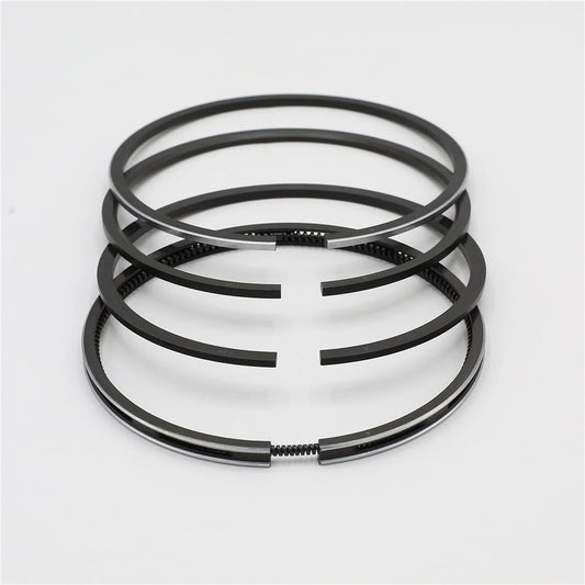 Set segmenti (0,50 - Diametru: 95,50 mm): RUGGERINI / RF 140 / RF 148 / RD 270 / RD 278 / RD 950 / RD 952 / Nr. referinta: 2496