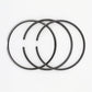 Set segmenti (0,50 - Diametru: 98,925 mm): LISTER / TR-1 / TR-2 / TR-3