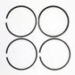 Set segmenti (0.50 - Diametru:100.50mm): SAME / LAMBORGHINI / 1003P / 1004P / 1006P / Nr. referinta: 0.072.0053.6