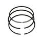 Set segmenti piston (1,00 - OVERSIZE - Diametru: 101,00 mm): LOMBARDINI / 5LD 824-3 / 7LD 740-F / Nr. referinta: 8211 214
