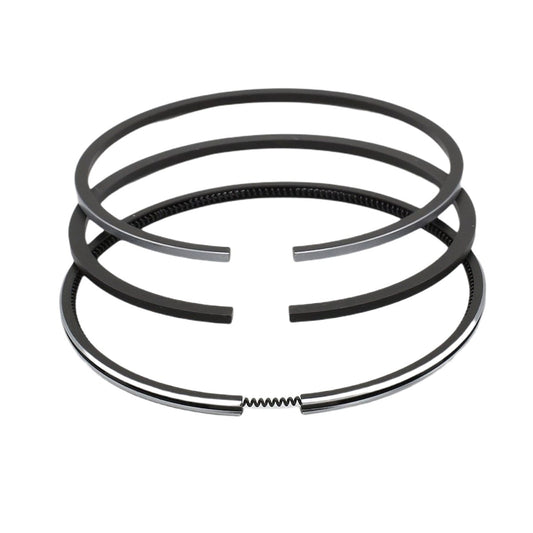 Set segmenti (1,00 - Diametru: 101,00 mm): LISTER / TX-1 / TX-2 / TX-3